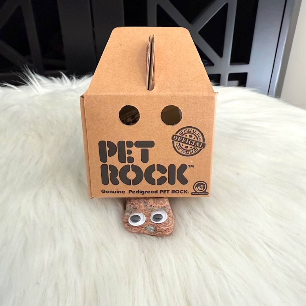 Classic Original Pet Rock (NWT/NIB) - Picture 5 of 7